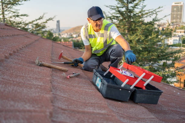 Best Insulated Siding Installation  in Le Center, MN